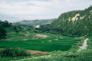 Eighty Days Joins Regional Revitalization and Inbound Tourism Council